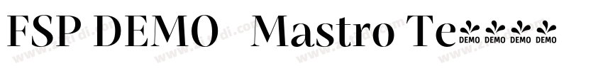 FSP DEMO   Mastro Te字体转换